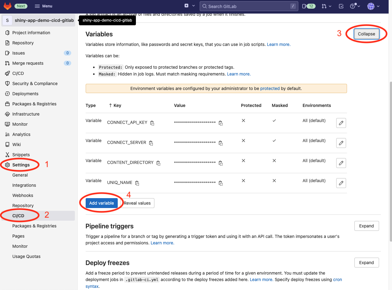 GitLab CI/CD Environment Variables Setup